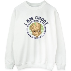Vêtements Homme Sweats Guardians Of The Galaxy Groot Varsity Blanc
