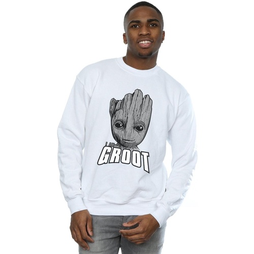 Vêtements Homme Sweats Marvel Guardians Of The Galaxy Groot Face Blanc