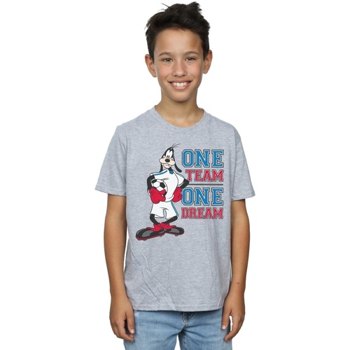 Vêtements Garçon T-shirts manches courtes Disney Goofy One Team One Dream Gris