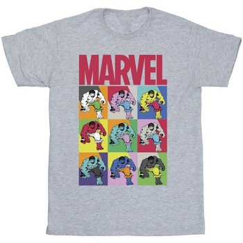 Vêtements Fille T-shirts manches longues Marvel Hulk Pop Art Gris