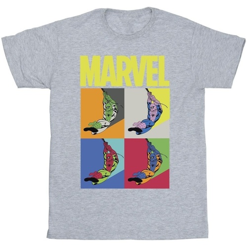 Vêtements Fille T-shirts manches longues Marvel Spider-Man Pop Art Gris