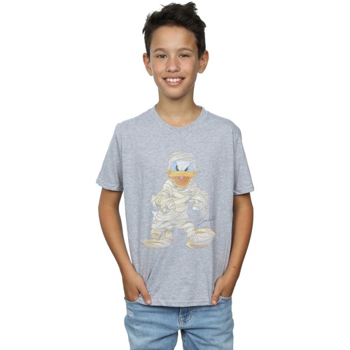 Vêtements Garçon T-shirts manches courtes Disney Mummy Donald Duck Gris