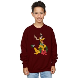 Vêtements Garçon Sweats Disney Pluto Christmas Reindeer Multicolore