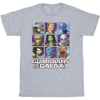 Vêtements Homme T-shirts manches longues Guardians Of The Galaxy Character Squares Gris