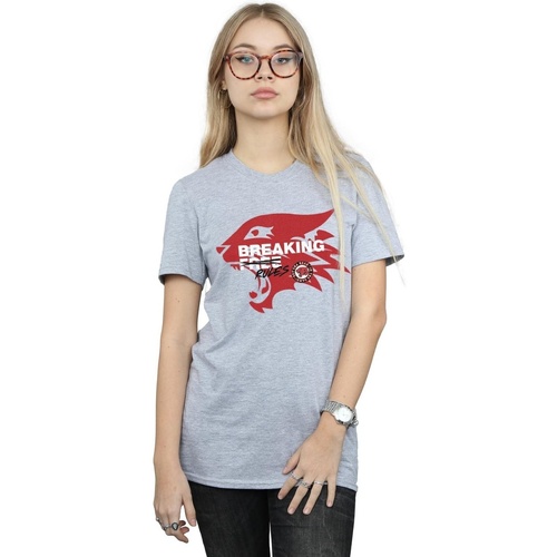 Vêtements Femme T-shirts manches longues Disney High School Musical The Musical Breaking Rules Gris