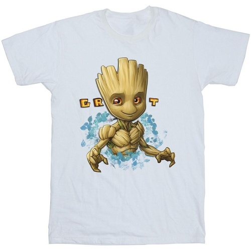 Vêtements Homme T-shirts manches longues Guardians Of The Galaxy Groot Flowers Blanc