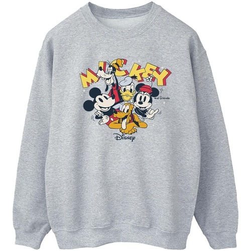 Vêtements Femme Sweats Disney Mickey Mouse Group Gris