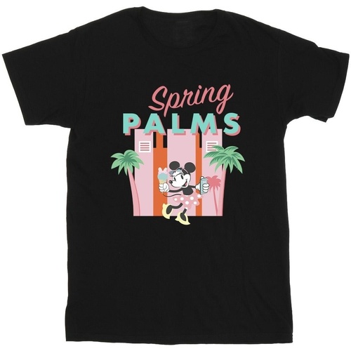 Vêtements Garçon T-shirts manches courtes Disney Minnie Mouse Spring Palms Noir