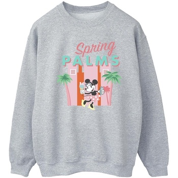 Vêtements Femme Sweats Disney Minnie Mouse Spring Palms Gris