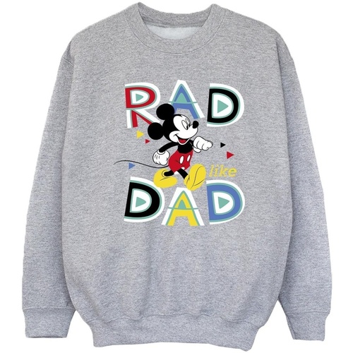 Vêtements Fille Sweats Disney Mickey Mouse Rad Dad Gris
