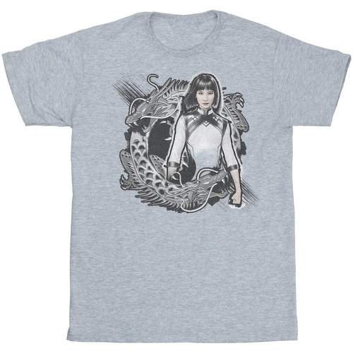 Vêtements Fille T-shirts manches longues Marvel Shang-Chi And The Legend Of The Ten Rings Xialing Dragon Gris