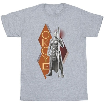 Vêtements Garçon T-shirts manches courtes Marvel Wakanda Forever Okoye Stance Gris