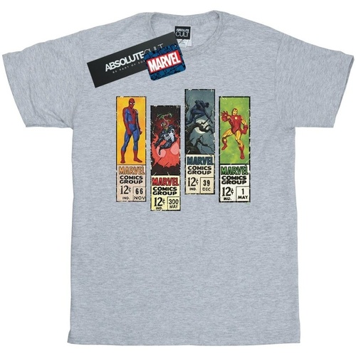 Vêtements Fille T-shirts manches longues Marvel Comic Strips Gris