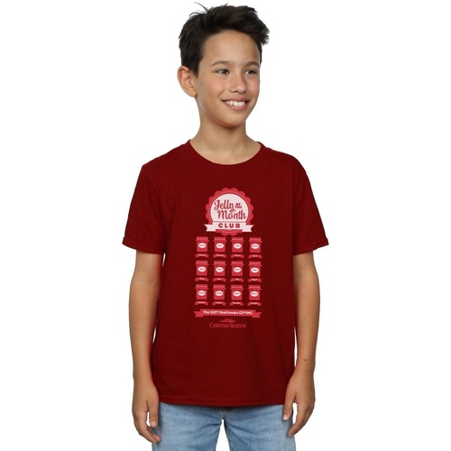 Vêtements Garçon T-shirts manches courtes National Lampoon´s Christmas Va Jelly Club Multicolore