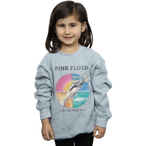 Vêtements Fille Sweats Pink Floyd Wish You Were Here Gris