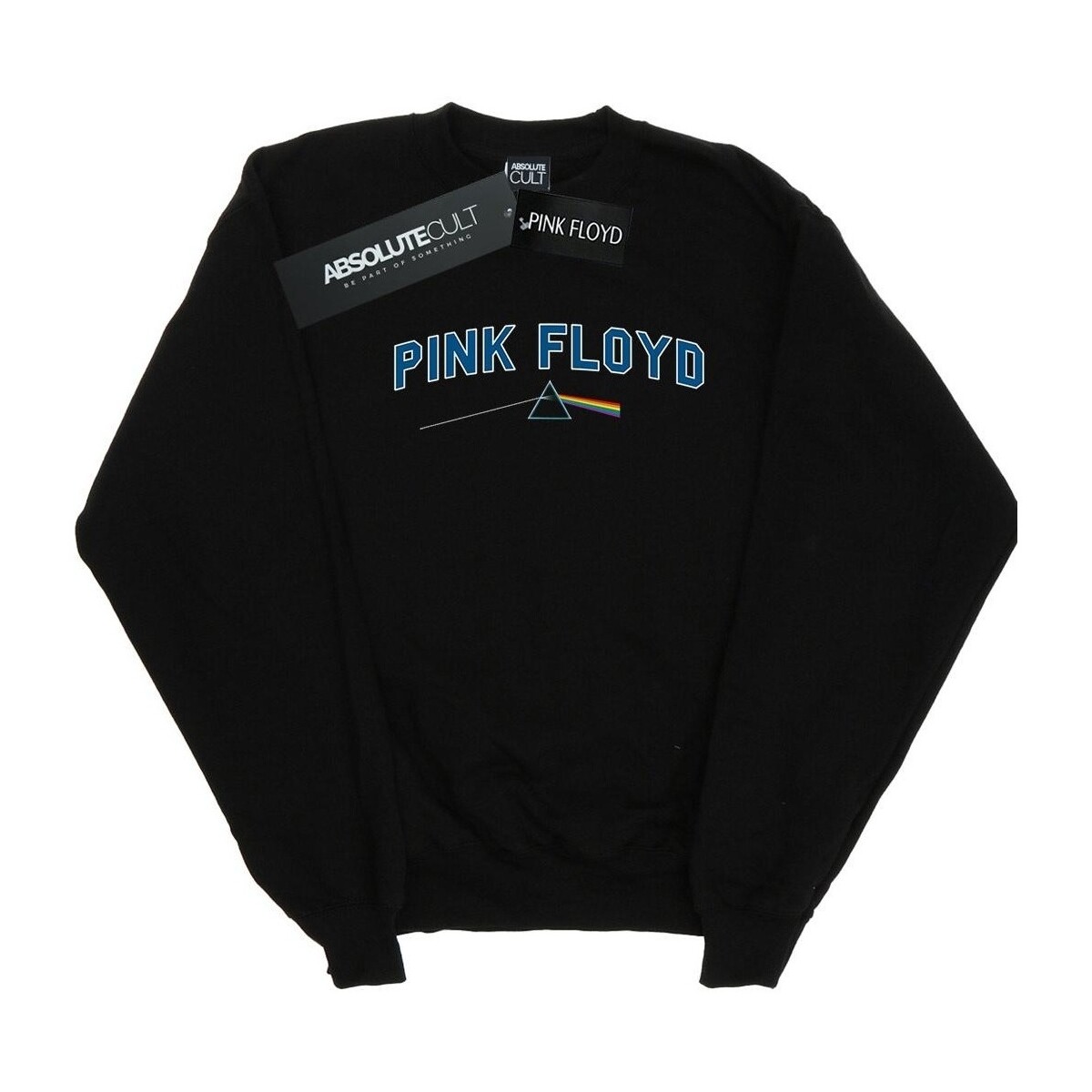 Vêtements Fille Sweats Pink Floyd College Prism Noir