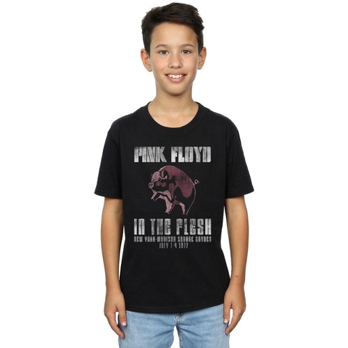 Vêtements Garçon T-shirts manches courtes Pink Floyd In The Flesh Noir