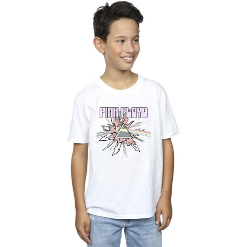 Vêtements Garçon T-shirts manches courtes Pink Floyd Pastel Triangle Blanc