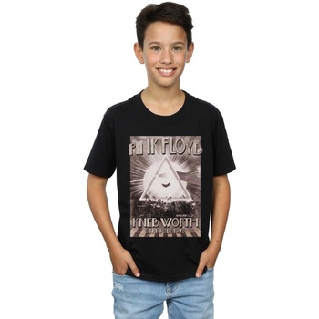 Vêtements Garçon T-shirts manches courtes Pink Floyd Knebworth Poster Noir