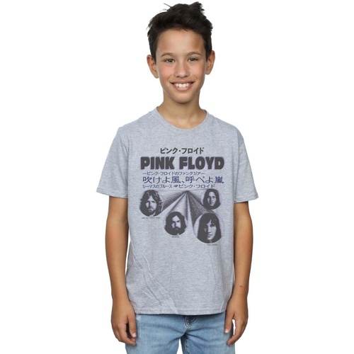 Vêtements Garçon T-shirts manches courtes Pink Floyd Japanese Cover Gris