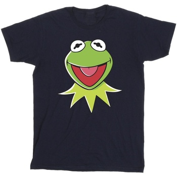 Vêtements Fille T-shirts manches longues Disney Muppets Kermit Head Bleu