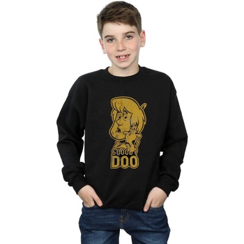Vêtements Garçon Sweats Scooby Doo And Shaggy Noir