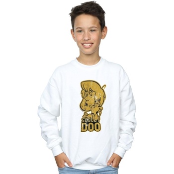Vêtements Garçon Sweats Scooby Doo And Shaggy Blanc