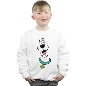 Vêtements Garçon Sweats Scooby Doo Big Face Blanc