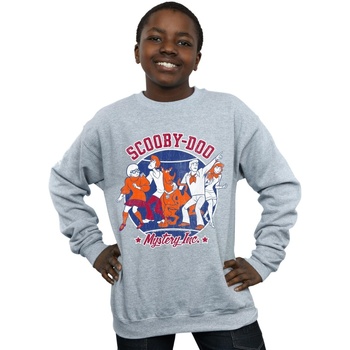 Vêtements Garçon Sweats Scooby Doo Collegiate Circle Gris
