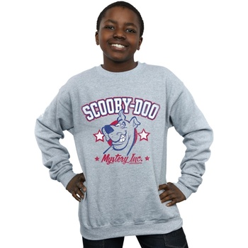 Vêtements Garçon Sweats Scooby Doo Collegiate Mystery Inc Gris