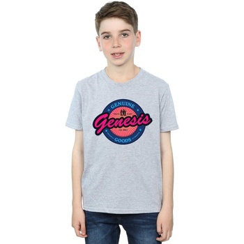 Vêtements Garçon T-shirts manches courtes Genesis  Gris