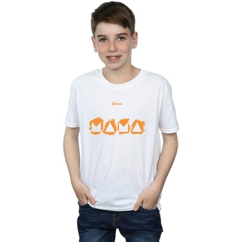 Vêtements Garçon T-shirts manches courtes Genesis  Blanc