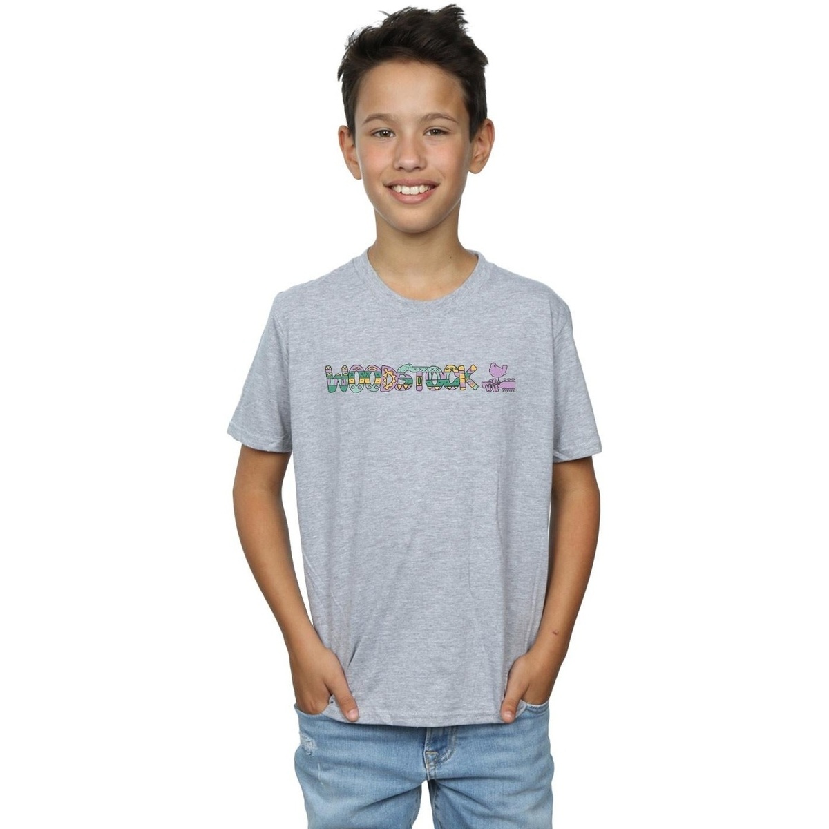 Vêtements Garçon T-shirts manches courtes Woodstock Aztec Logo Gris