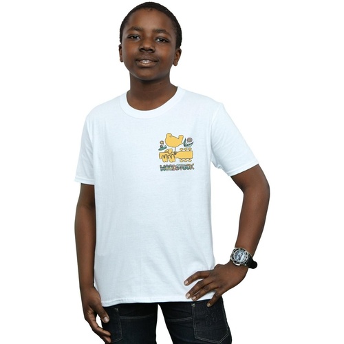 Vêtements Garçon T-shirts manches courtes Woodstock Breast Logo Blanc