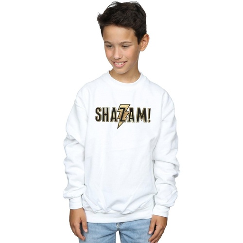 Vêtements Garçon Sweats Dc Comics Shazam Text Logo Blanc