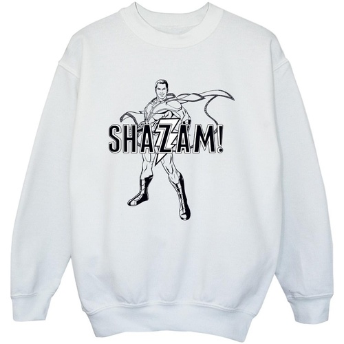 Vêtements Garçon Sweats Dc Comics Shazam Outline Blanc