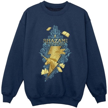 Vêtements Garçon Sweats Dc Comics Shazam Fury Of The Gods Golden Animal Bolt Bleu