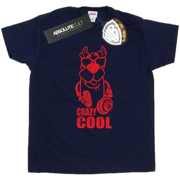Vêtements Garçon T-shirts manches courtes Scooby Doo Crazy Cool Bleu