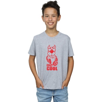 Vêtements Garçon T-shirts manches courtes Scooby Doo Crazy Cool Gris