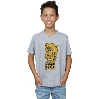 Vêtements Garçon T-shirts manches courtes Scooby Doo  Gris