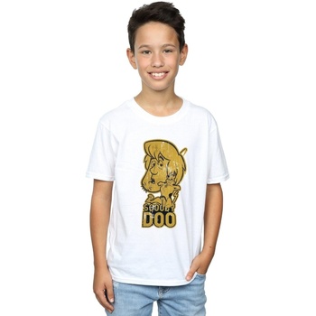 Vêtements Garçon T-shirts manches courtes Scooby Doo And Shaggy Blanc
