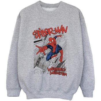 Vêtements Garçon Sweats Marvel Spider-Man Sketch City Gris