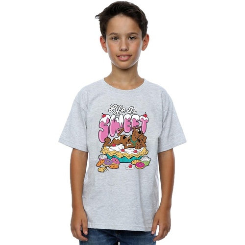 Vêtements Garçon T-shirts manches courtes Scooby Doo Life Is Sweet Gris