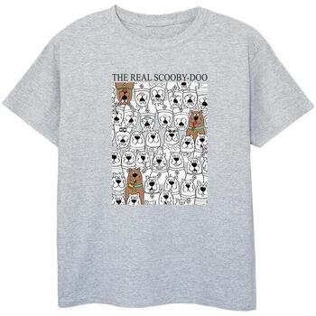 Vêtements Garçon T-shirts & Polos Scooby Doo The Real Gris