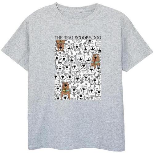 Vêtements Garçon T-shirts manches courtes Scooby Doo The Real Gris
