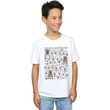 Vêtements Garçon T-shirts manches courtes Scooby Doo The Real Blanc