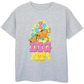 Vêtements Garçon T-shirts manches courtes Scooby Doo Easter I Dig It Gris