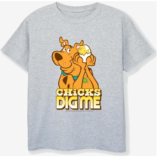 Vêtements Garçon T-shirts manches courtes Scooby Doo Chicks Dig Me Gris