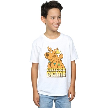 Vêtements Garçon T-shirts manches courtes Scooby Doo Chicks Dig Me Blanc