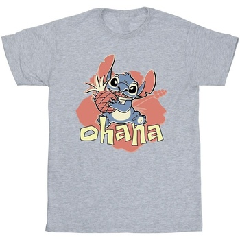 Vêtements Homme T-shirts manches longues Disney Lilo And Stitch Ohana Pineapple Gris
